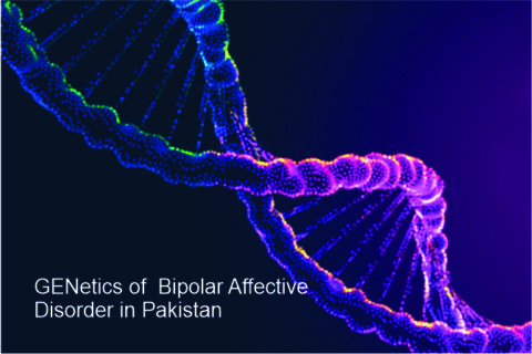 The GEN-BLIP Study